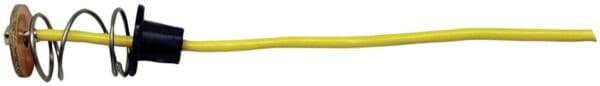 PIGTAIL,10"