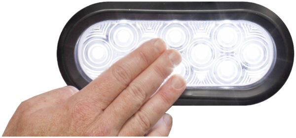DOME LGT ASM, 10 LED OVAL, 2 WIRE.