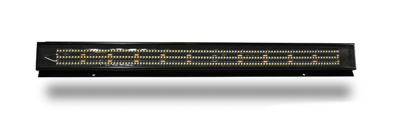 Aluminium Extérieur Feu Premium 24in Transparent Anodize